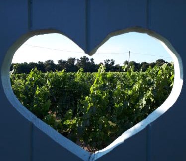 Pugnac Maison | La roulotte de Glorit