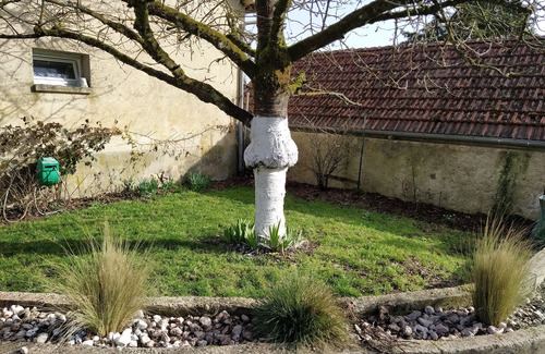 Morangis Appartement | La Ruche, spacieux et au calme 10min d'Epernay