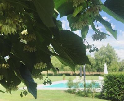 San Paolo Solbrito Lit Et Petit-Déjeuner | La Scuderia Charming Rooms b&b