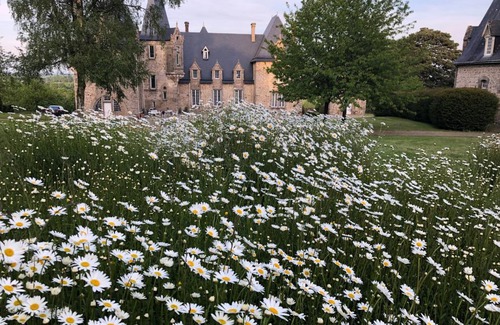 Saint-Germain-le-Guillaume Lit Et Petit-Déjeuner | La Sicorie