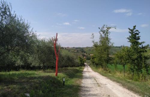 Falciano Maison | La Silvana B&B