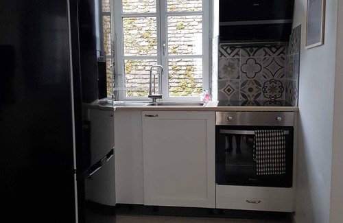 Romorantin-Lanthenay Appartement | La sirène, entre le zoo de Beauval et les châteaux de la Loire