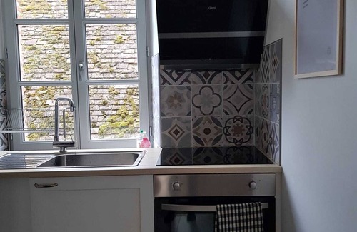 Romorantin-Lanthenay Appartement | La sirène, entre le zoo de Beauval et les châteaux de la Loire