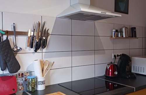 Orcival Appartement | La Source - appart 85 m2 & terrasse privée rdc