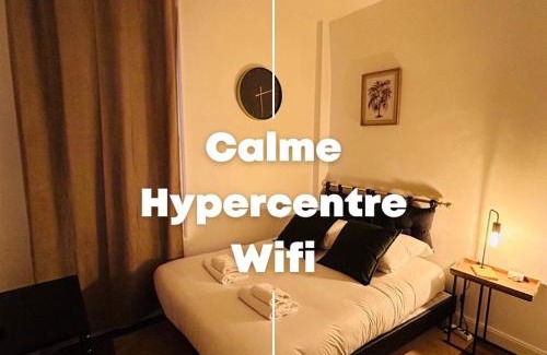Reims City Centre Appartement | La Suite Briand - Hypercentre