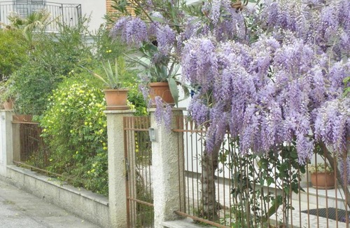 Giulianova Maison | La Suite Di Rita