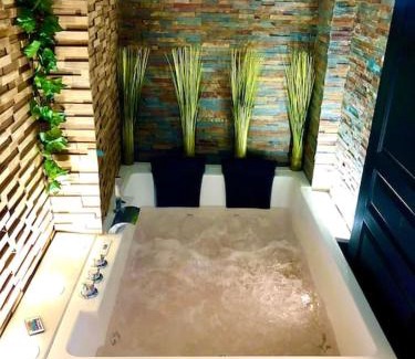 Sens Appartement | La suite romantique Jacuzzi,parking gratuit,centre