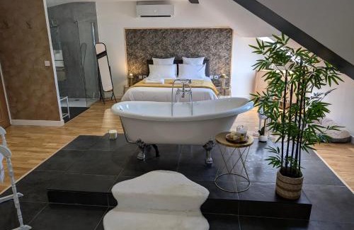 Montlucon Appartement | La Suite - Villa Valmy - Hypercentre - Gare SNCF