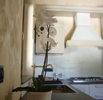 Corleto Monforte Maison | La Tempa del Padrone, Corleto Monforte