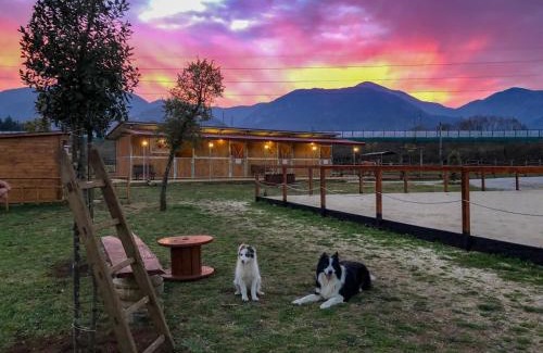 Patrica Maison | La Tenuta del Campo di Sopra