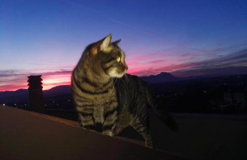 Chieti Scalo Appartement | La terrazza di Maja