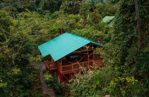 La Tigra Cabine | La Tigra Rainforest Lodge
