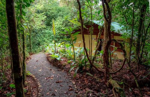 La Tigra Cabine | La Tigra Rainforest Lodge