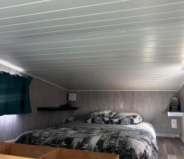 Villefranche-de-Lonchat Autre | La tiny house Luna