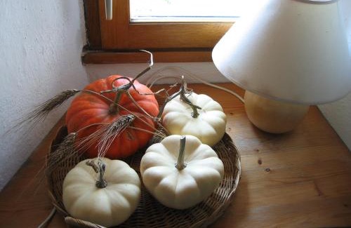 Rochefort-sur-Loire Lit Et Petit-Déjeuner | La Tour du Moulin Géant