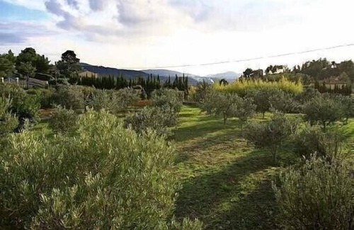 La Cadiere-d'Azur Cottage | La Treille au Mas Bouteillans, charme, confort, calme au milieu des olivaie