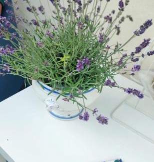 Villanova d'Asti Lit Et Petit-Déjeuner | La valle incantata