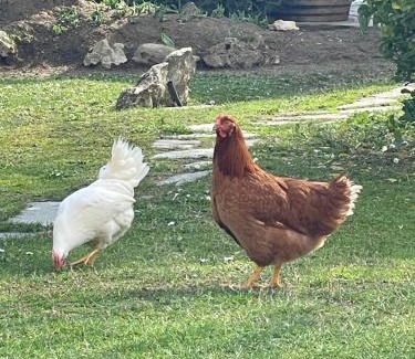 Villanova d'Asti Lit Et Petit-Déjeuner | La valle incantata