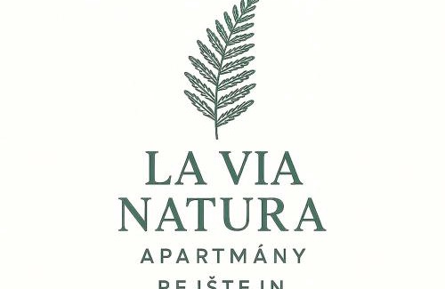 Rejstejn Appartement | La Via Natura Apartmány Rejštejn