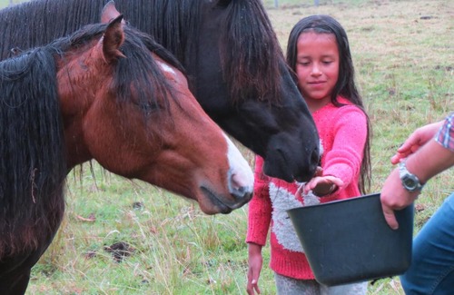 Arcabuco Autre | La Victoria Glamping