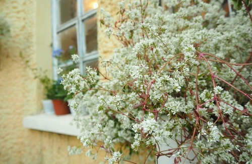 Da Lat Appartement | La Vie est Belle - Dalat