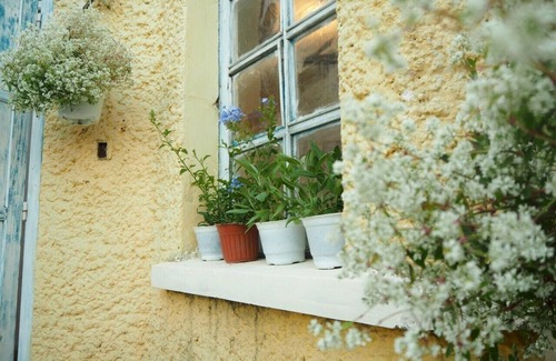 Da Lat Appartement | La Vie est Belle - Dalat