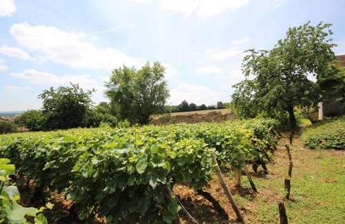 Buxy Maison | La Vigne des Guyons - BUXY
