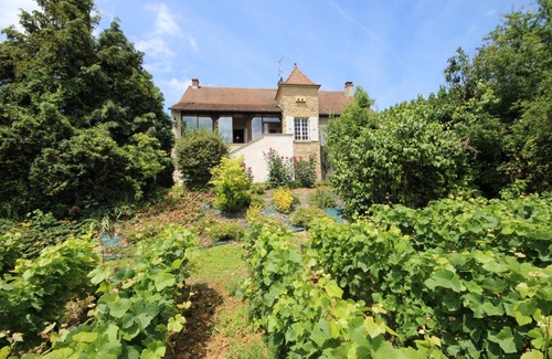 Buxy Maison | La Vigne des Guyons - BUXY