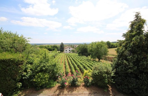 Buxy Maison | La Vigne des Guyons - BUXY