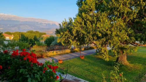 Introdacqua Appartement | La Villa dei Nonni
