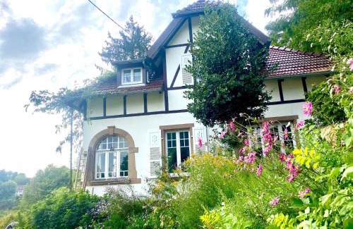 La Petite-Pierre Maison | LA VILLA DES OISEAUX - La Petite Pierre