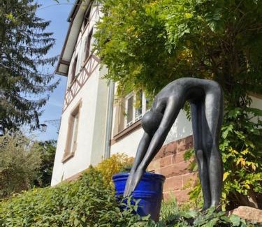 La Petite-Pierre Maison | LA VILLA DES OISEAUX - La Petite Pierre