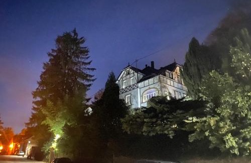 La Petite-Pierre Maison | LA VILLA DES OISEAUX - La Petite Pierre
