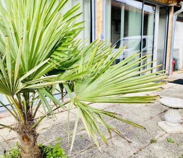 Le Grand-Lemps Appartement | La Villa Jo