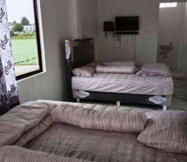 Berastagi Maison | LA97 Homestay