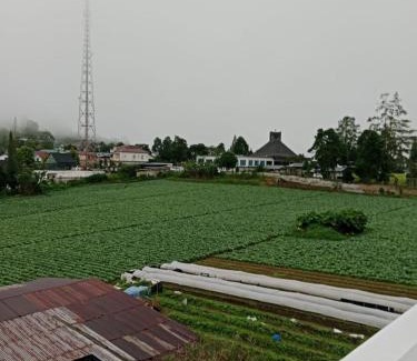 Berastagi Maison | LA97 Homestay