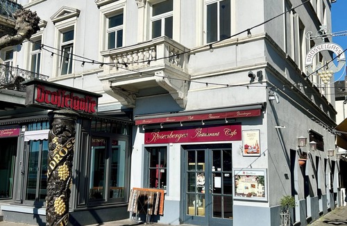 Mainz-Bingen Appartement | LaBed - Directly on Drosselgasse | Enjoy the wine region, old town & view of the Rhine