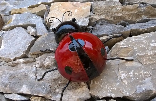 Valdieri Maison | LADYBIRD HOUSE - Code CIR00423300008