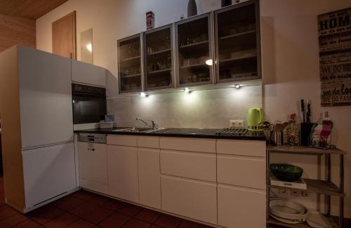 Zell am See Appartement | Lake and Mountain View