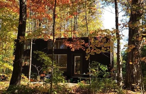 Addison Cabine | Lake Champlain Tiny House on Wooded Property with Private Beach/Lake Access