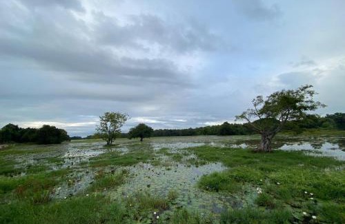Dambulla Maison | lake Edge Dambulla