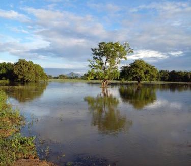 Dambulla Maison | lake Edge Dambulla