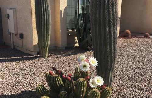 Arizona City Maison | Lake Front Beauty & Snowbird Favorite - Près du golf, du pickle ball et du parachutisme!