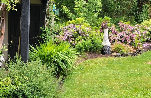 Dorena Maison | Lake front LAWN FLOOR of bi-level home. bottom floor only. private entrance.