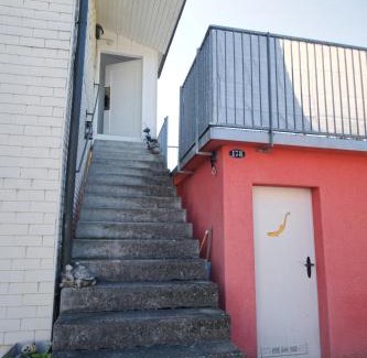 Salmsach Appartement | Lake Getaway Apartment with Private entrance, right on the Lake Constance cycle path, barbecue area, free wifi, Netflix and free bikes