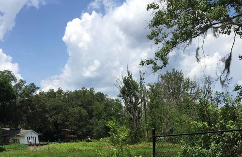 Melrose Maison | Lake House by Idyllic Santa Fe Lake in Melrose FL