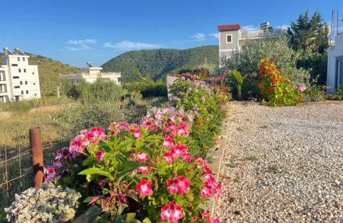 Ksamil Appartement | Lake Side Serenity