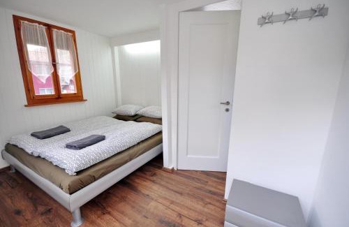 Boenigen Chalet De Ski | Lake View Chalet
