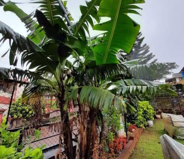 Gureghar Maison | Lake view hotel