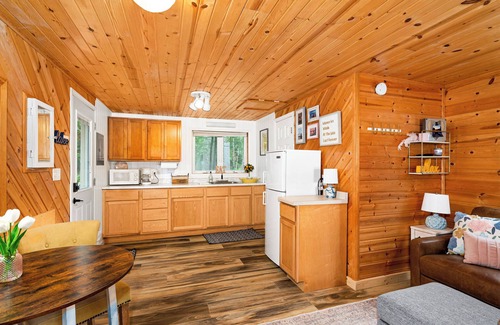Duluth Cabine | Lakefront Cabin on Island Lake
